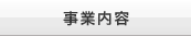 ���Ɠ��e